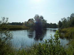 Farm Pond - Country homes for sale and luxury real estate including horse farms and property in the Caledon and King City areas near Toronto